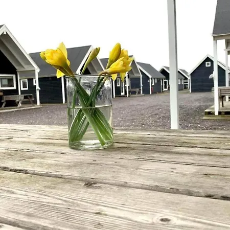 4 Star In Thyborøn
